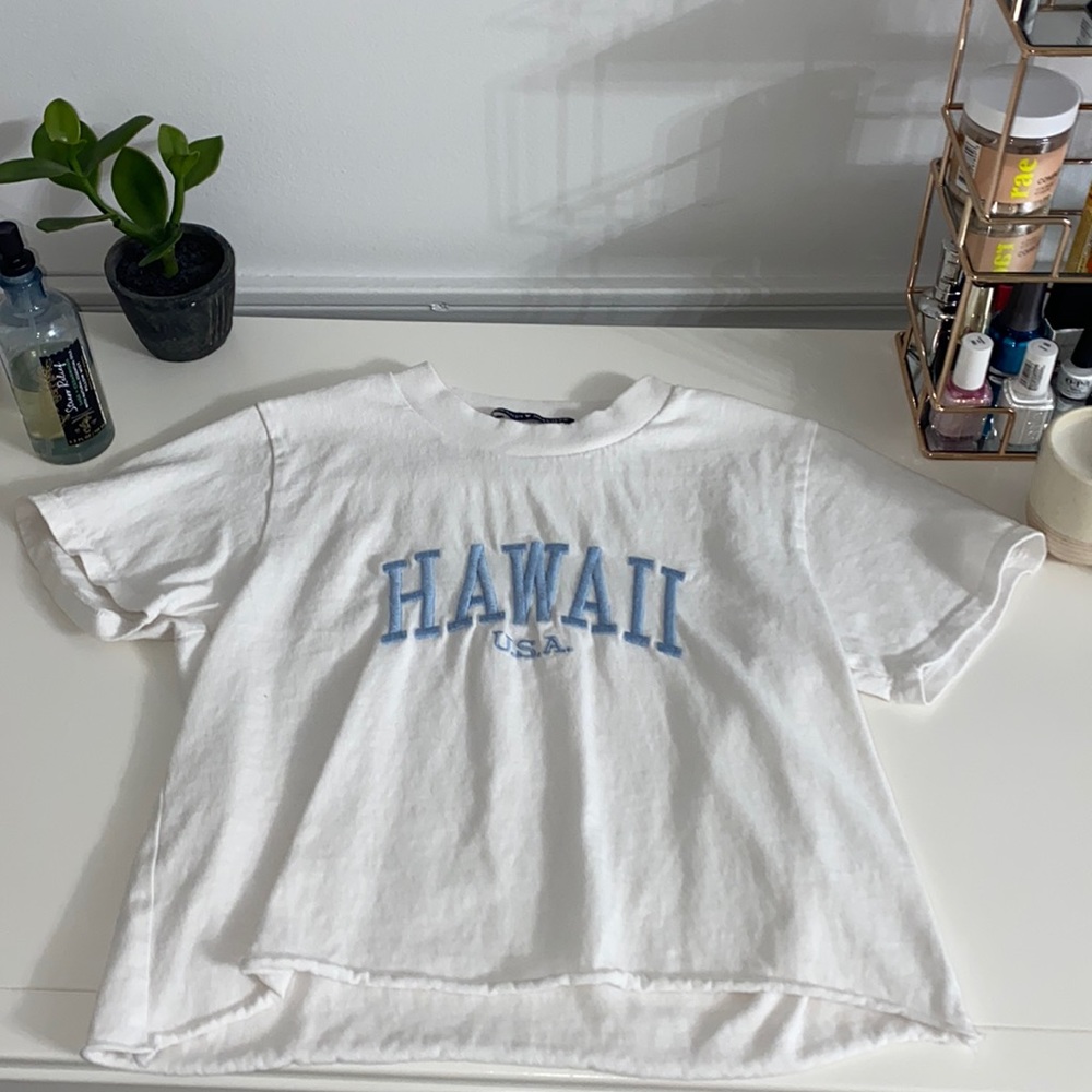 Brandy Melville Crop Top